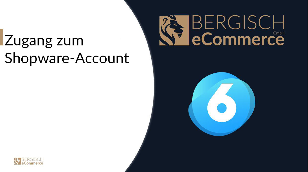 Zugang zum Shopware-Account erteilen Zugang zum Shopware-Account erteilen