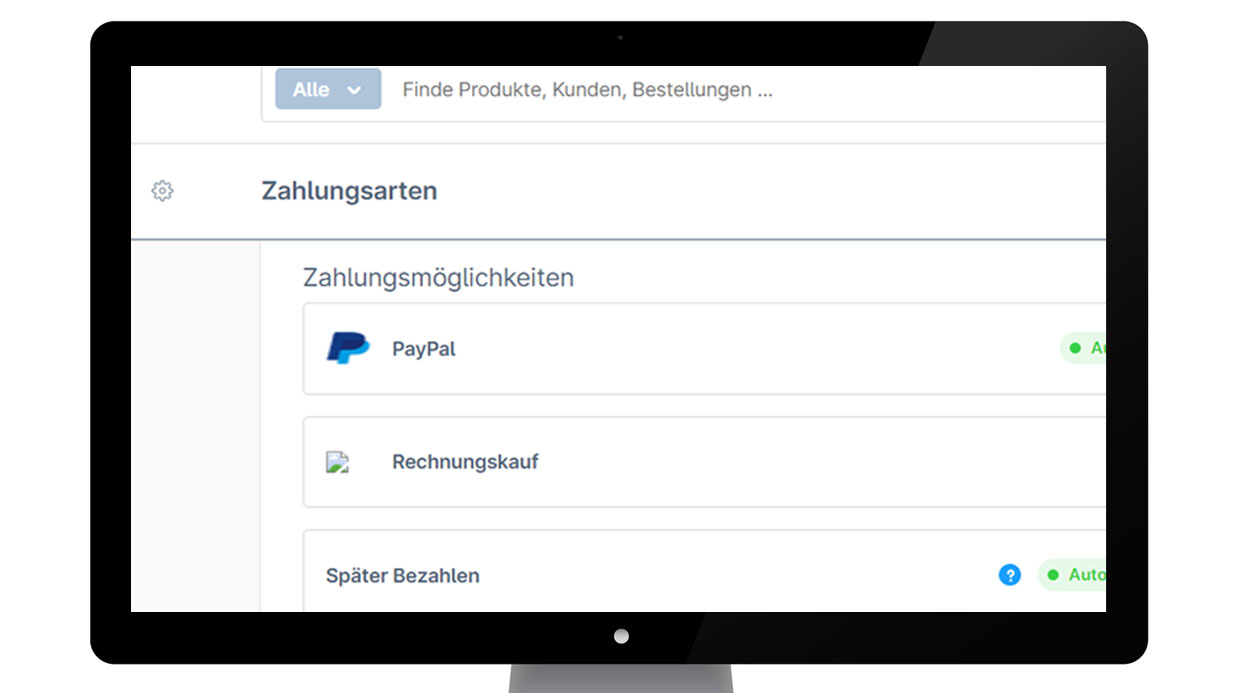 PayPal in Shopware 6 einrichten PayPal in Shopware 6 einrichten